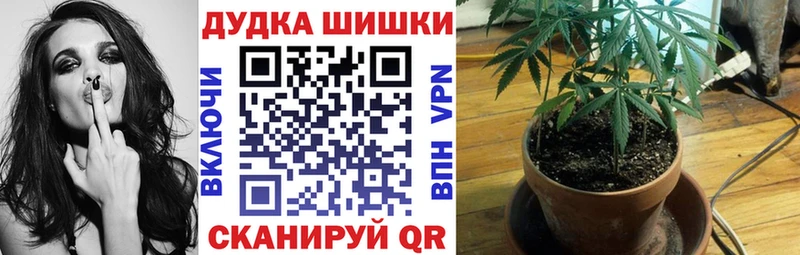 Магазины продажи наркотиков Краснослободск A PVP Амфетамин Псилоцибиновые грибы Гашиш Бошки Шишки