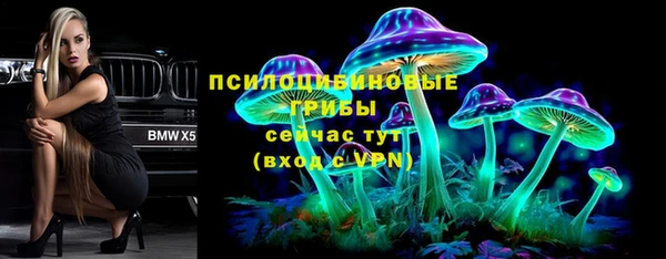 МДПВ Алексеевка
