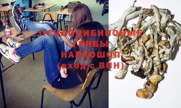 герыч Арсеньев